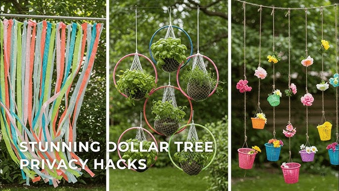 Cheap Diy Privacy Screen: Easy, Budget-Friendly Ideas for Your Home