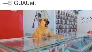 MEMES RANDOM # 429