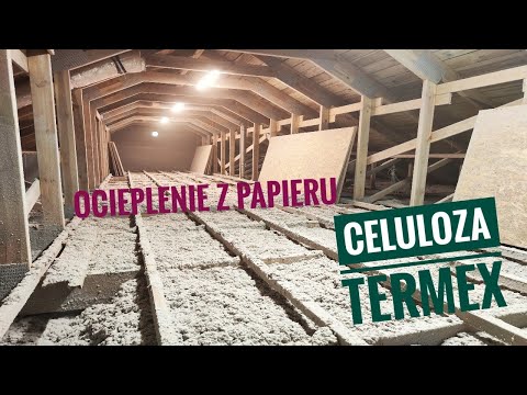 Wideo: Dlaczego potrzebujemy celulozy?