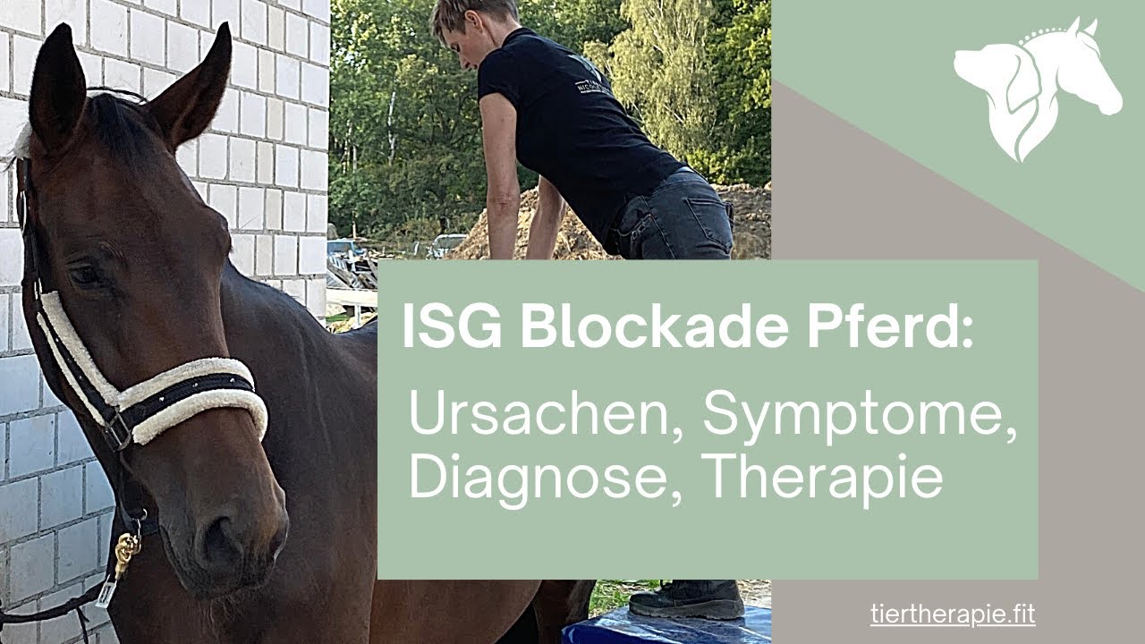 Isg Blockade Pferd