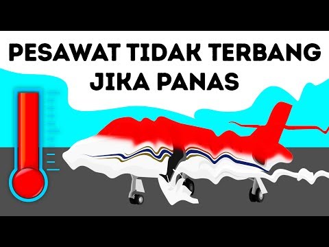 Video: Asas suria: yang mesti ada dan berita untuk Musim Panas 2017