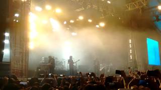 Enjambre en Puebla Dulce soledad