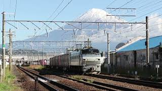 雪の富士山をバックに走る211系SS4編成とEF66 127が牽引する貨物列車　東海道本線　富士川駅　【踏切音注意】