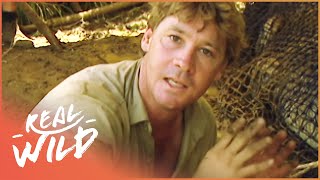 Steve Irwin's Biggest Crocodile Battles (Wildlife Documentary) | Real Wild