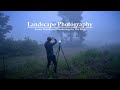 Landscape Photography | Why Summer Is Beautiful For Woodland Photography