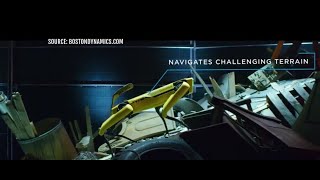 Robot dog promotes health in Singapore