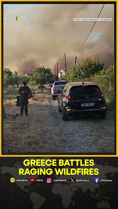 Smoke Clouds Billow Over Greece’s Oropos As Wildfires Rage | WION Shorts