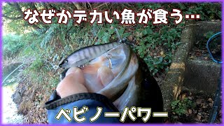 【ベビーアビノー】意味わからん釣れ方するルアーだと常々思う【NLW】