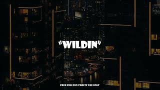 (FREE) Afro fusion type beat | Afrobeat Instrumental 2023 "WILDIN"