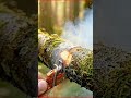 Small powerful machine