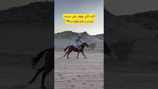 النيه كنتر وقوف على الخيل وصارت فتح وقوف😂🐎👏🏻