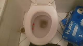 Mein Leben In Einem Bild