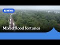 Farmers are counting the cost of the the deadly North Queensland floods | ABC News
