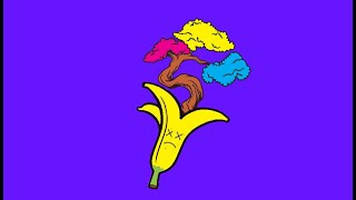 "Bonsei Ansestral Banana"-Electro house beat/tech type beat music