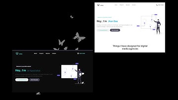 Responsive Personal Portfolio Website Using HTML CSS And JavaScript | Dark/Light || The Terminal Boy