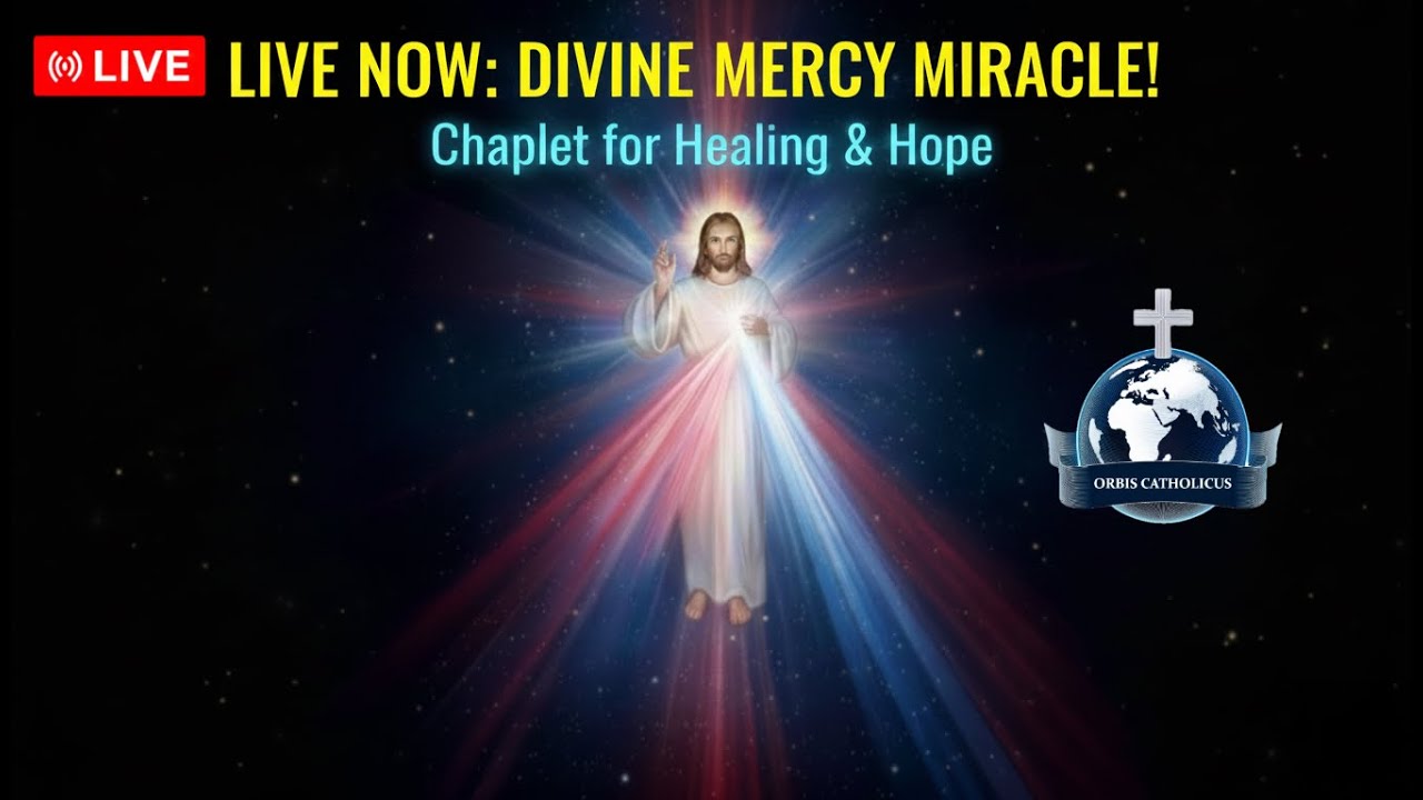 14th January 2026 - 🙏 Divine Mercy Chaplet | Live Catholic Prayer - 3pm GMT
