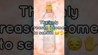 Radnor Splash, The Only Reason I Come To School