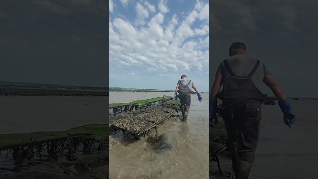 Flat trestle locking bar