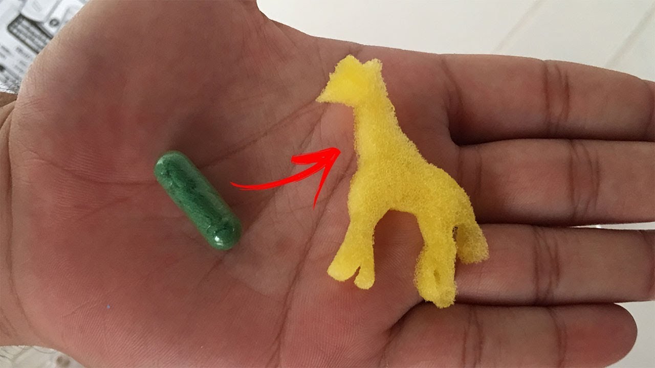 AS CÁPSULAS QUE SE TRANSFORMAM EM ANIMAIS DO SAFARI NA ÁGUA!!