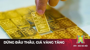 Ngân hàng Nhà nước dừng đấu thầu, giá vàng tăng | Tin tức mới nhất hôm nay