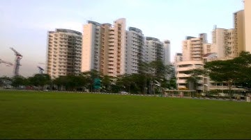 4pcs KST DS215MG Servo Flight-Test on KDS450SV Heli (all round)