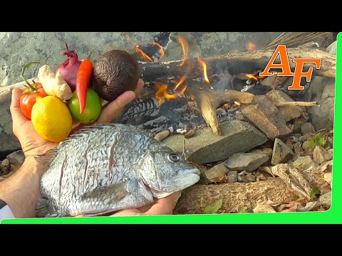 on-fire-catch-and-cook-sea-bream-fish-gummy-worms-/-snake-lollie-fishing-challenge-ep.360