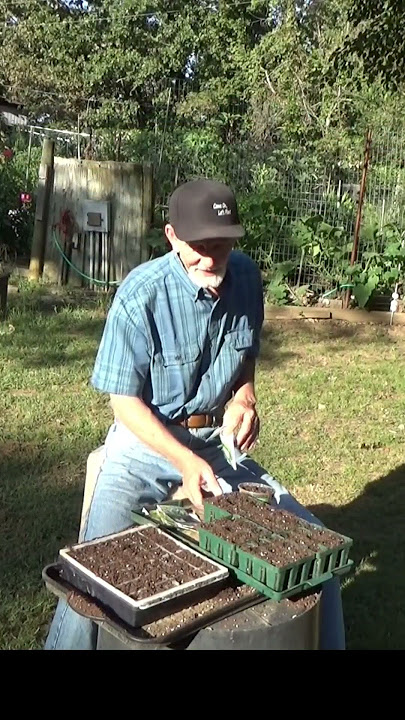 Seed trays I like