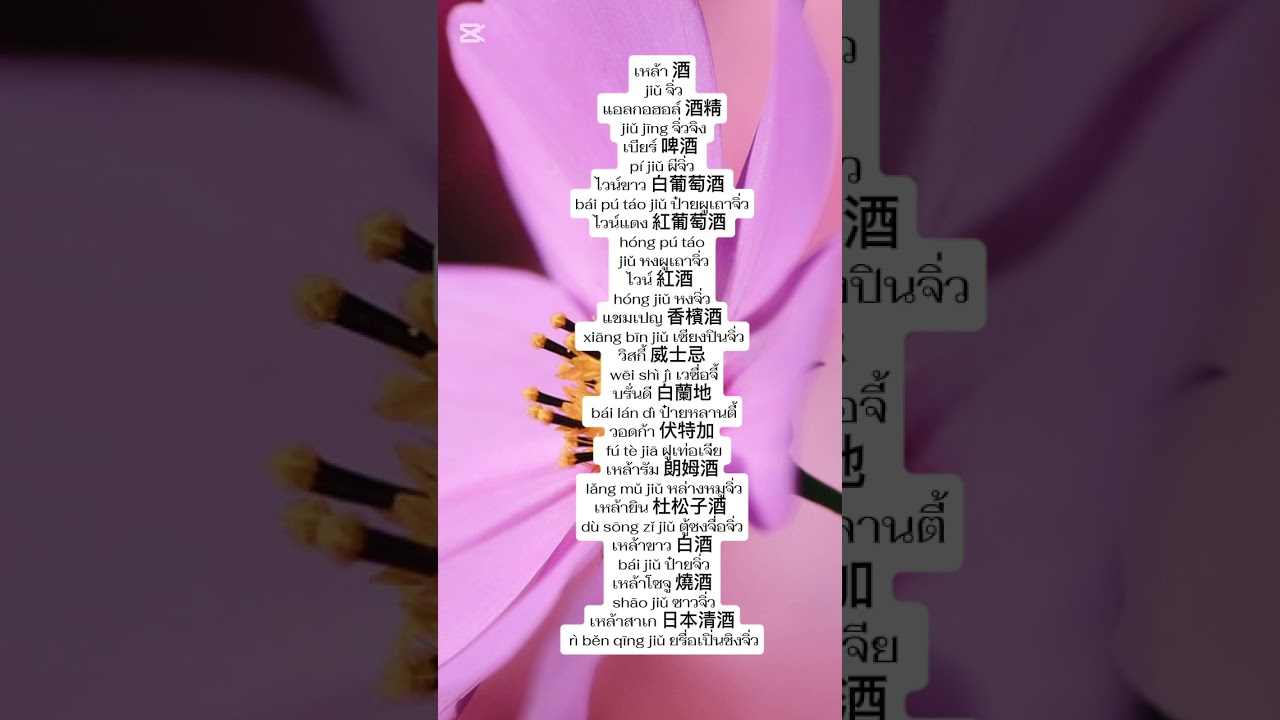หัดพูดภาษาจีนกลาง #ภาษาจีนกลาง 縮圖