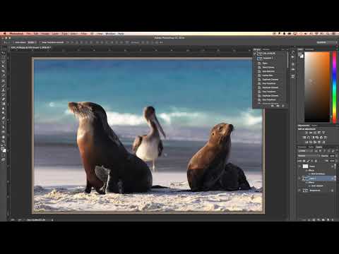 เทคนิคการใช้ Photoshop แต่งภาพ ตอน Action