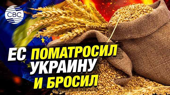 Цена стабильности ЕС — крах Украины: как Брюссель поступился союзником