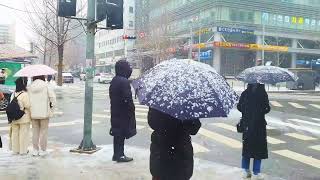 서울의 증권가 여의도 골목에 마구 쏟아지는 함박눈. 폭설. 힐링.