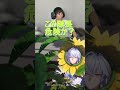 絡みそんなにあったけ? #nte #nevernesstoeverness #白蔵 #ばいざん