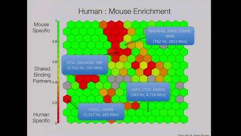 Regulatory Conservation and Divergence Among Organisms - Michael Snyder