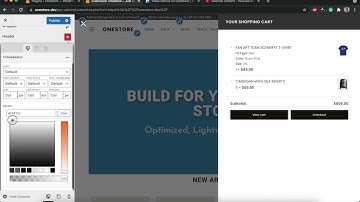 Off-Canvas Settings | OneStore Best Free WordPress Theme for  WooCommerce