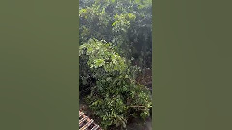 Flood Mitigation Clearing (or Dredging) of Opa Aro river ways - V0009