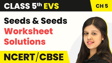 Class 5 EVS Chapter 5 | Seeds and Seeds - Worksheet Solutions | Looking Around Book