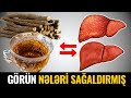 Bu Bitkinin Kökü Görün Nələrə Çarədir - Köhnə Həkimlərin Sirri