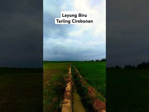 Layung biru DI Atas WPG