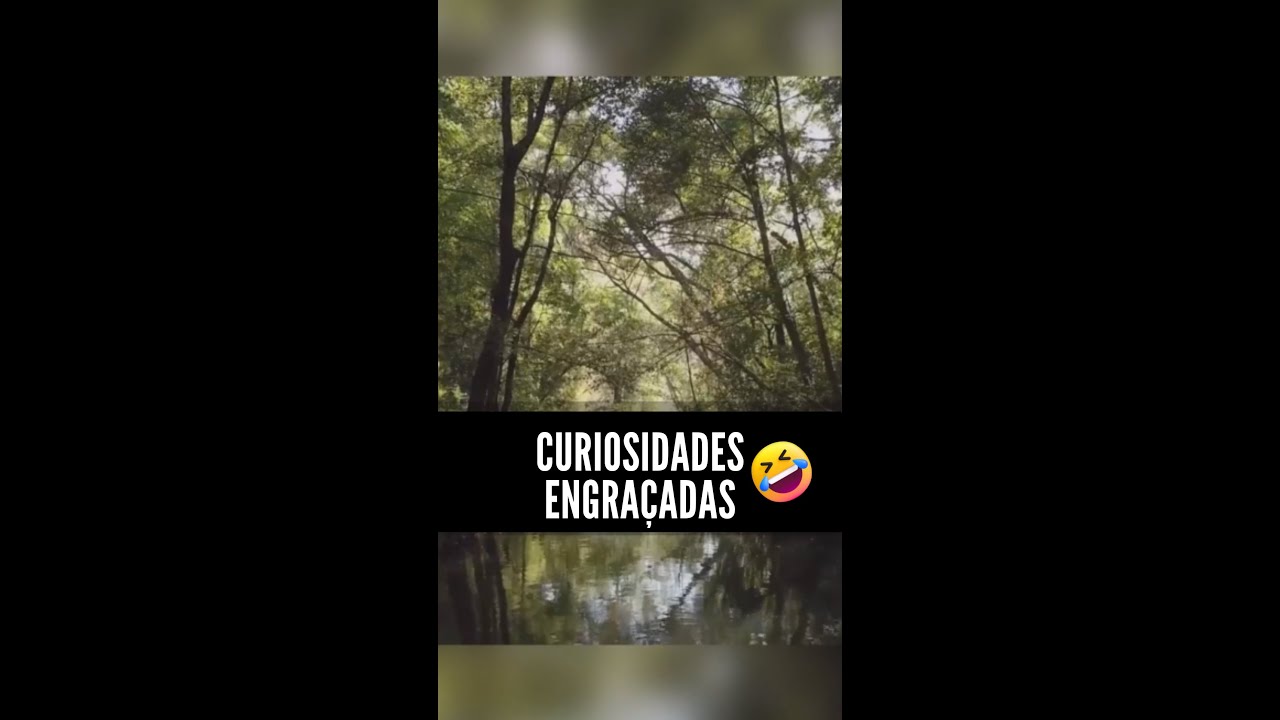 Curiosidades engraçadas #short  #shorts #shortvideo