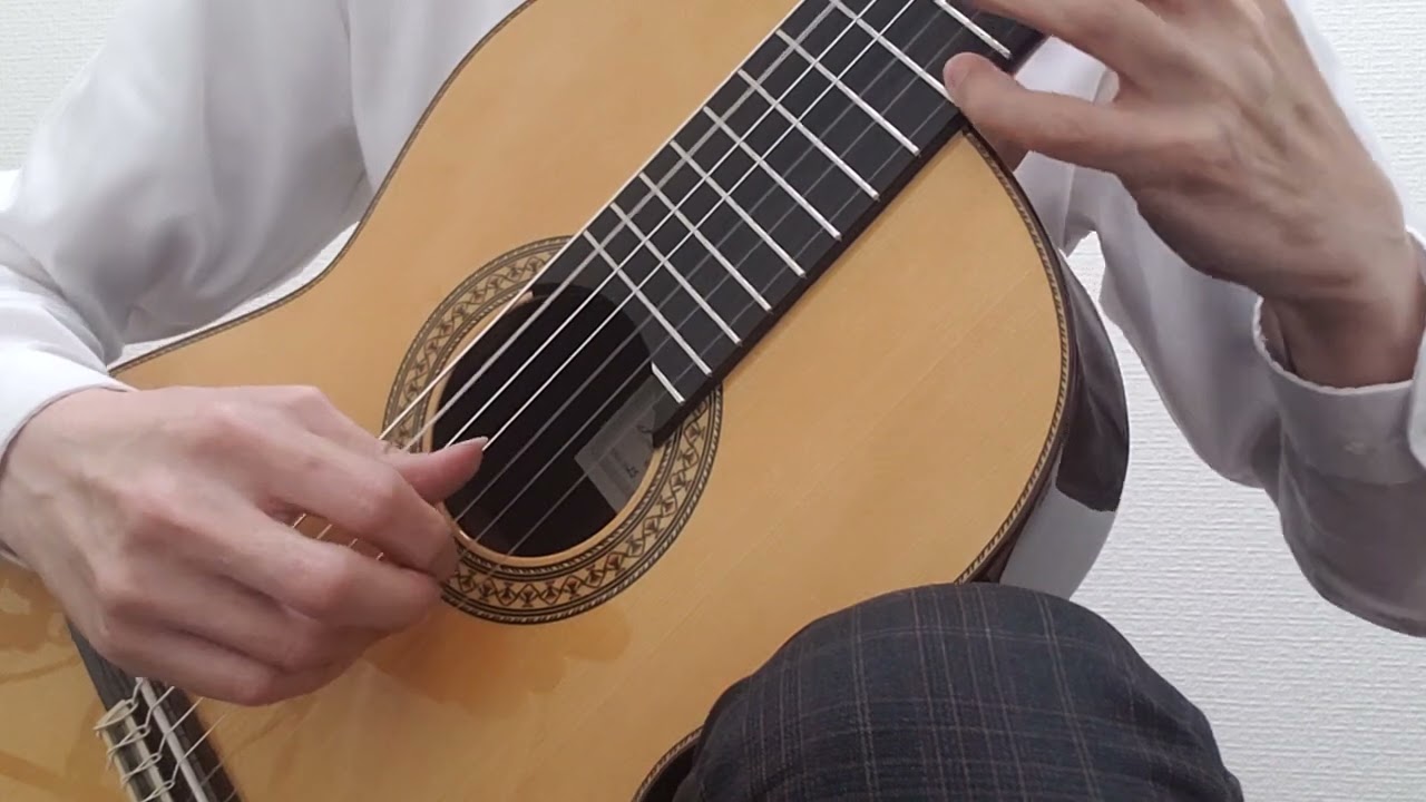 ホアン・エルナンデス BOSSANOVA 7 Strings 7弦 松・ローズウッド・20