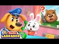 🔍Sheriff Labrador - Llmadas Desconocidas ☎️ | Videos para Niños | BabyBus en Español