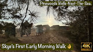 Skye’s First Early Morning Walk | Pinewoods | Wells-Next-The-Sea #wellsnextthesea #pinewoods #skye