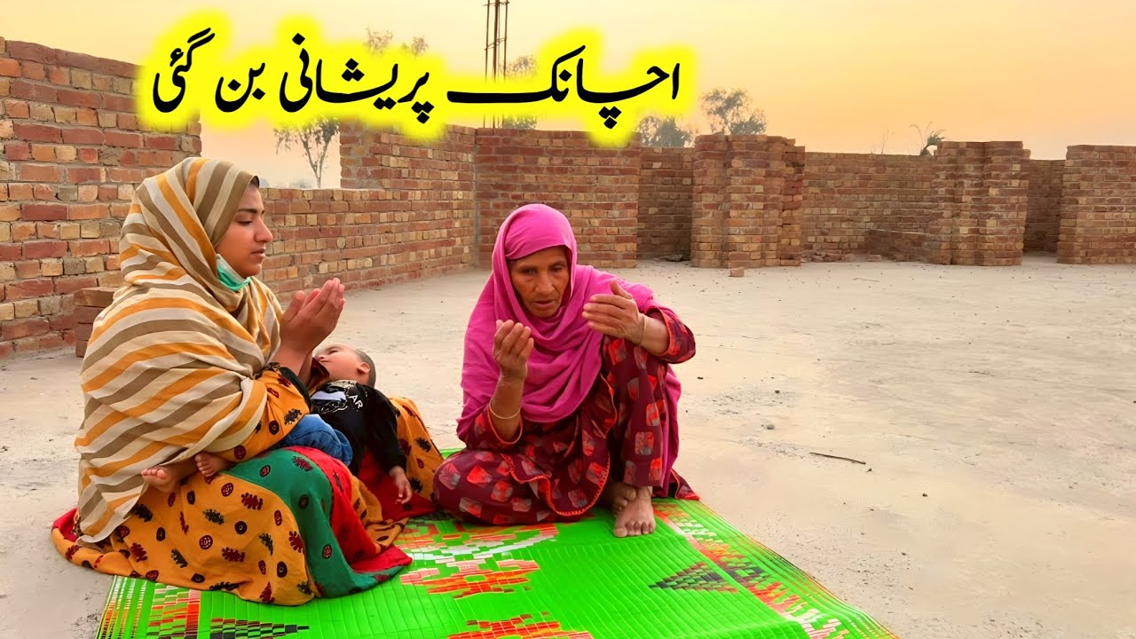 Suddenly, I felt worried | Punjabi pendu Vloger