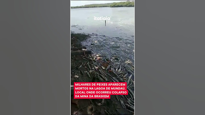 PEIXES APARECEM MORTOS EM LAGOA ONDE OCORREU O COLAPSO DA MINA DA BRASKEM