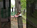 А ВКУСНЯШКИ-ТО ГДЕ??? / WHERE ARE THE GOODIES