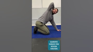 Quadruped Thoracic Spine Rotation (variations)