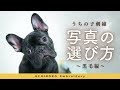 うちの子刺繍】写真の選び方（黒毛編） - YouTube
