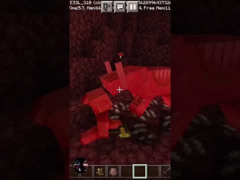 Piglin Brute vs zoglin