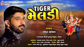 Tiger Meldi || ટાઈગર મેલડી ||Gaman Santhal || Leboj Ram Studio || Non Stop Songs