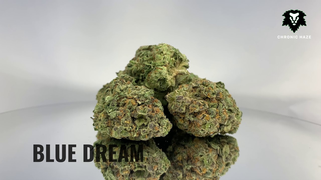 Chronic Haze - Blue Dream